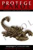 Maner scorpion, plastic bronz antic, s.h136-142a28