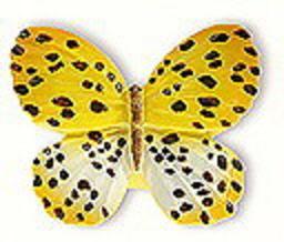Buton fluture galben picatele