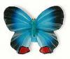 Buton fluture albastru cu rosu h040