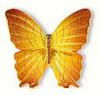 Buton fluture galben maroniu