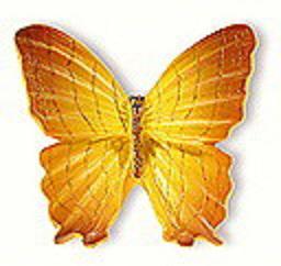 Buton fluture galben maroniu H041