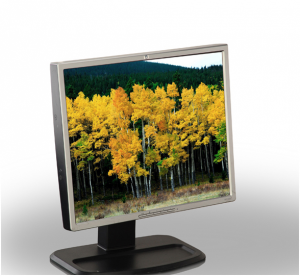 Monitor 19inch LCD HP L1950 Silver & Black