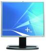 Monitor hp l1955 19 inch 5 ms