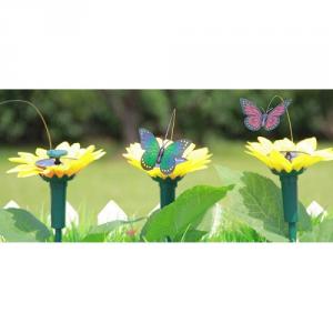 Fluturele solar zburator si floare