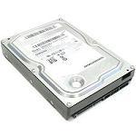 Hard disk 160GB SATA 7200rpm 8MB NCQ SpinPoin