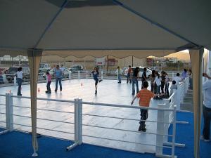 Patinoar artistic