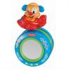 Zornaitoare muzicala catel fisher price (limba