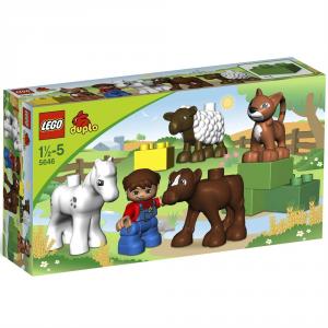 Lego Duplo Animale ferma 5646