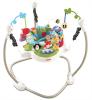 Jumperoo Fisher Price Discover'n Grow