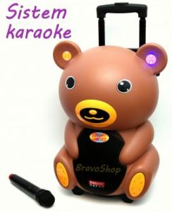 Sistem karaoke pentru copii si adulti - Sistem karaoke profesional 40W cu microfon fara fir inclus
