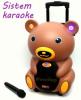 Sistem karaoke pentru copii si adulti - sistem