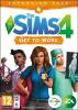 The sims 4 get to work pc