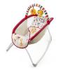 Bright Starts - 60401 - Playful Pinwheels Playtime to Bedtime Rocking Sleeper