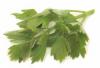Leustean verde natural (in conversie)
