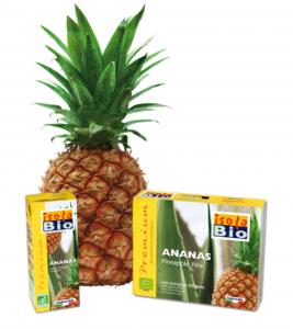 Nectar bio premium ananas 200ml