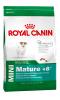 Royal canin mini ageing +12 1.5kg