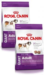 Pachet Economic Royal Canin Giant Adult 2x15kg + Container CADOU