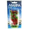 Plante Marina Red Ludwigia 12.5cm