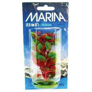 Plante Marina Red Ludwigia 30cm