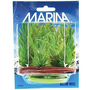 DELISTAT Plante Marina Willow Moss 5cm