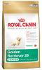 Royal canin golden retriever junior 3kg