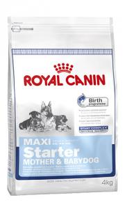 Royal Canin Maxi Starter Mama si Pui 4kg