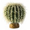 Plante exo terra desert barrel cactus m