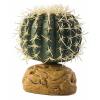 Plante exo terra desert barrel cactus s