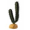 Plante exo terra desert finger cactus