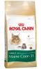 Delistat royal canin maine coon 31 10kg