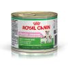 Pachet royal canin starter mousse 3x195g