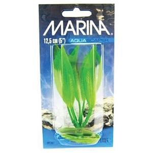 Plante Marina Amazon SW 30cm