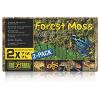 Asternut exo terra forest moss 500g