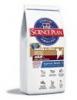 Hills SP Canine Adult Lamb&amp;Rice 15 Kg