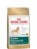 Royal canin golden retriever adult 12