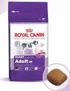 Royal Canin Giant Adult 15 Kg + Cadou Fresbee