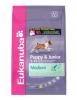 Eukanuba Puppy Junior Medium Breed 15Kg