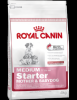 Royal canin mediu starter 12kg