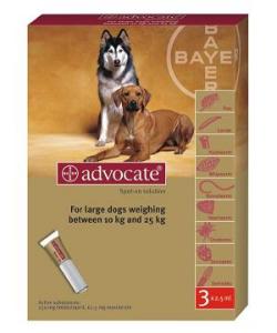 Bayer Advocate 10-25kg