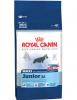 Royal canin maxi junior 15 kg 269lei-hrana pentru caini juniori