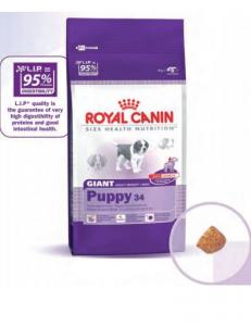 Royal Canin Giant Puppy 15 Kg + Cadou Croseta  de capuse