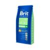 Brit premium junior l talie mare