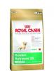 Royal canin golden retriever junior 12kg-mancare