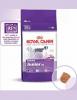 Royal canin giant junior 15kg|royal canin