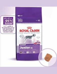Royal Canin Giant Junior 15 Kg + Cadou Croseta de capuse
