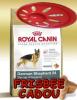 Royal canin german shepherd adult 12kg + cadou