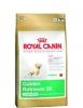Royal Canin Golden Retriever Junior 12kg+Cadou Recipient Hrana-mancare pentru pu