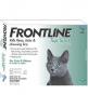 Frontline top spot cat
