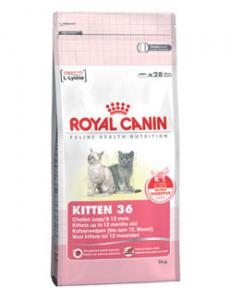 Royal Canin Kitten 36 10kg