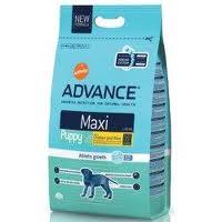Advance Maxi Puppy Protect 15kg